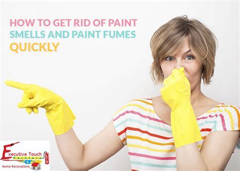 How to Get Rid of Paint Smell Fast: And Why Pineapples Might Be the Secret Ingredient