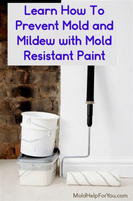 What Happens If You Paint Over Mold: A Journey Through Chaos and Creativity